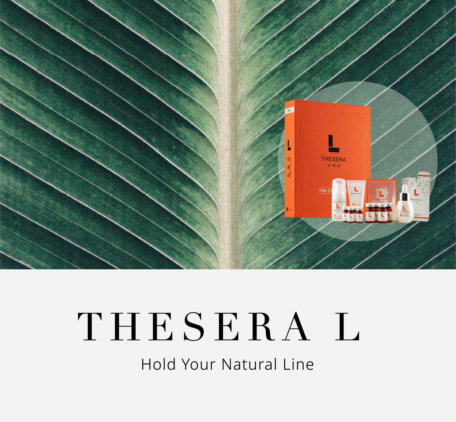 THESERA L – Hold Your Natural Line